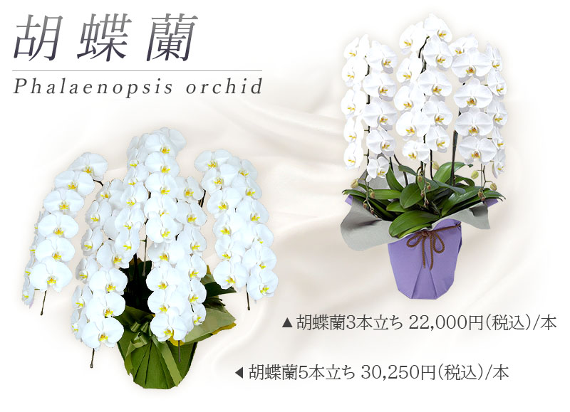 約410mm 1590g超綺麗雪花オブシディアン六角柱B86Z2⁄179Z12B 超綺麗☆雪花